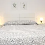 شقة White