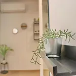 White شقة *