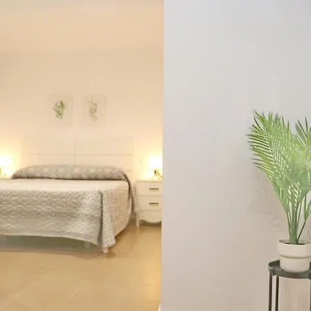 شقة White
